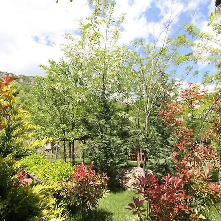 Lugina E Shengjergjit ,Bujtinat Villa Тирана Екстериор снимка