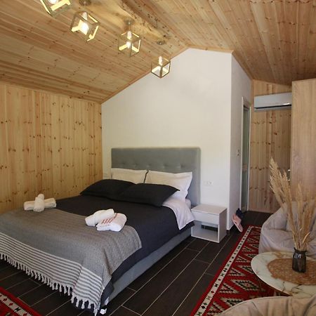 Lugina E Shengjergjit ,Bujtinat Villa Тирана Екстериор снимка