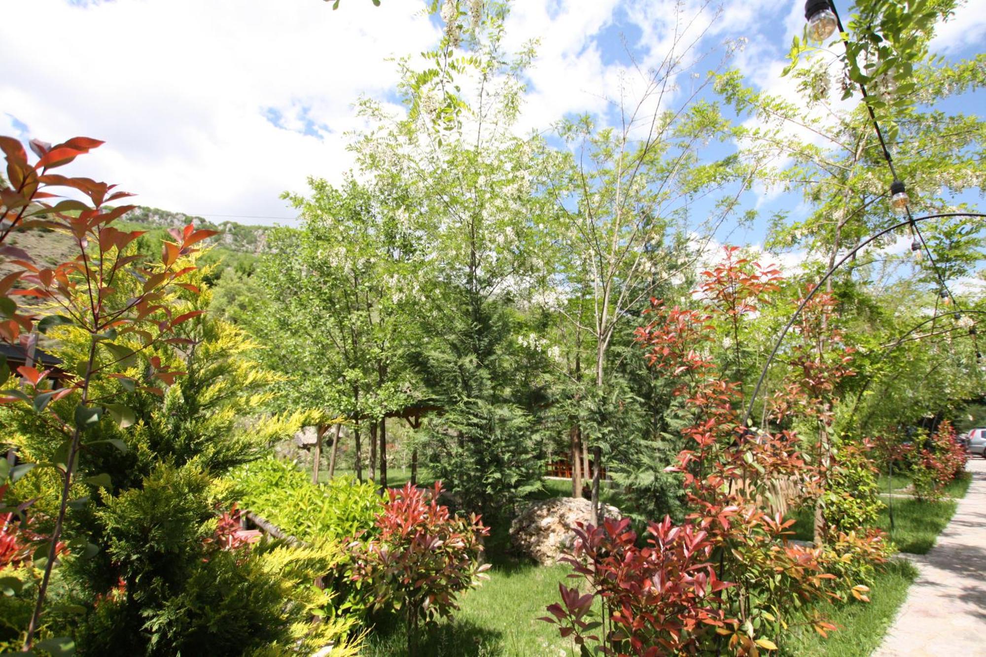 Lugina E Shengjergjit ,Bujtinat Villa Тирана Екстериор снимка